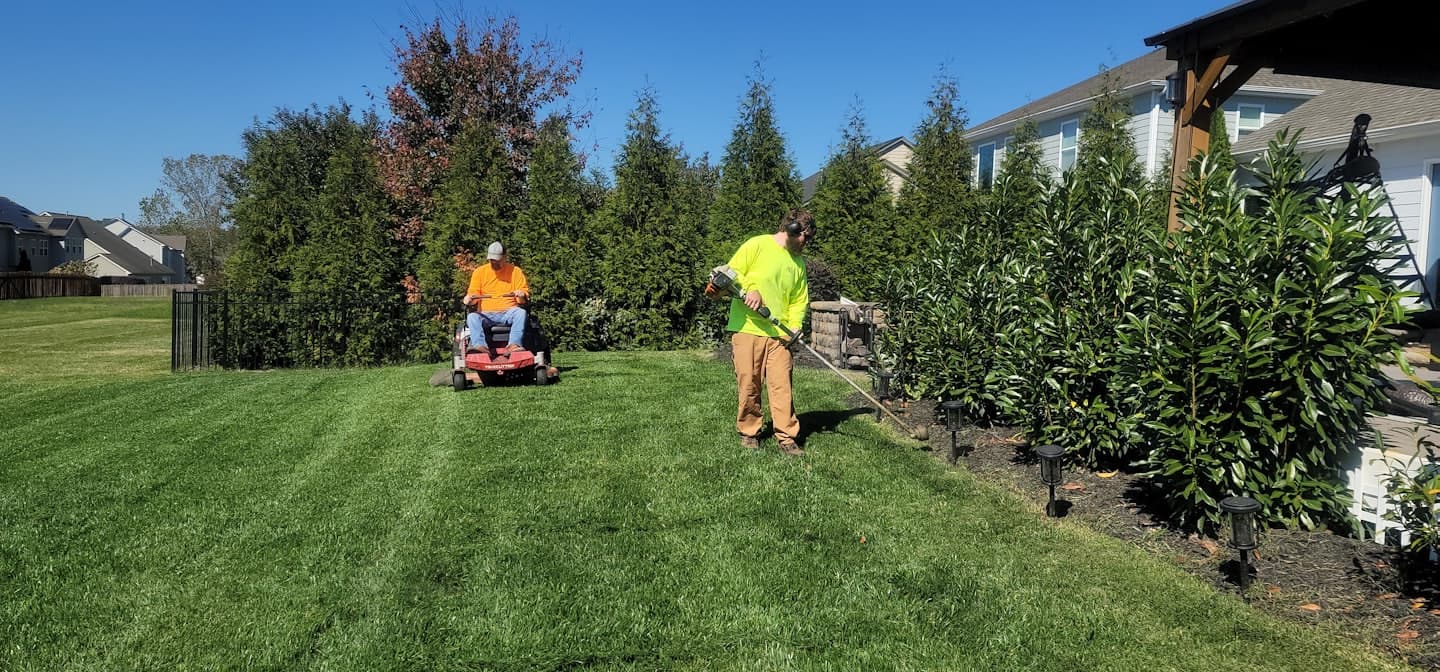 Freshly mowed lawn with clean stripes in a Louisiana neighborhood