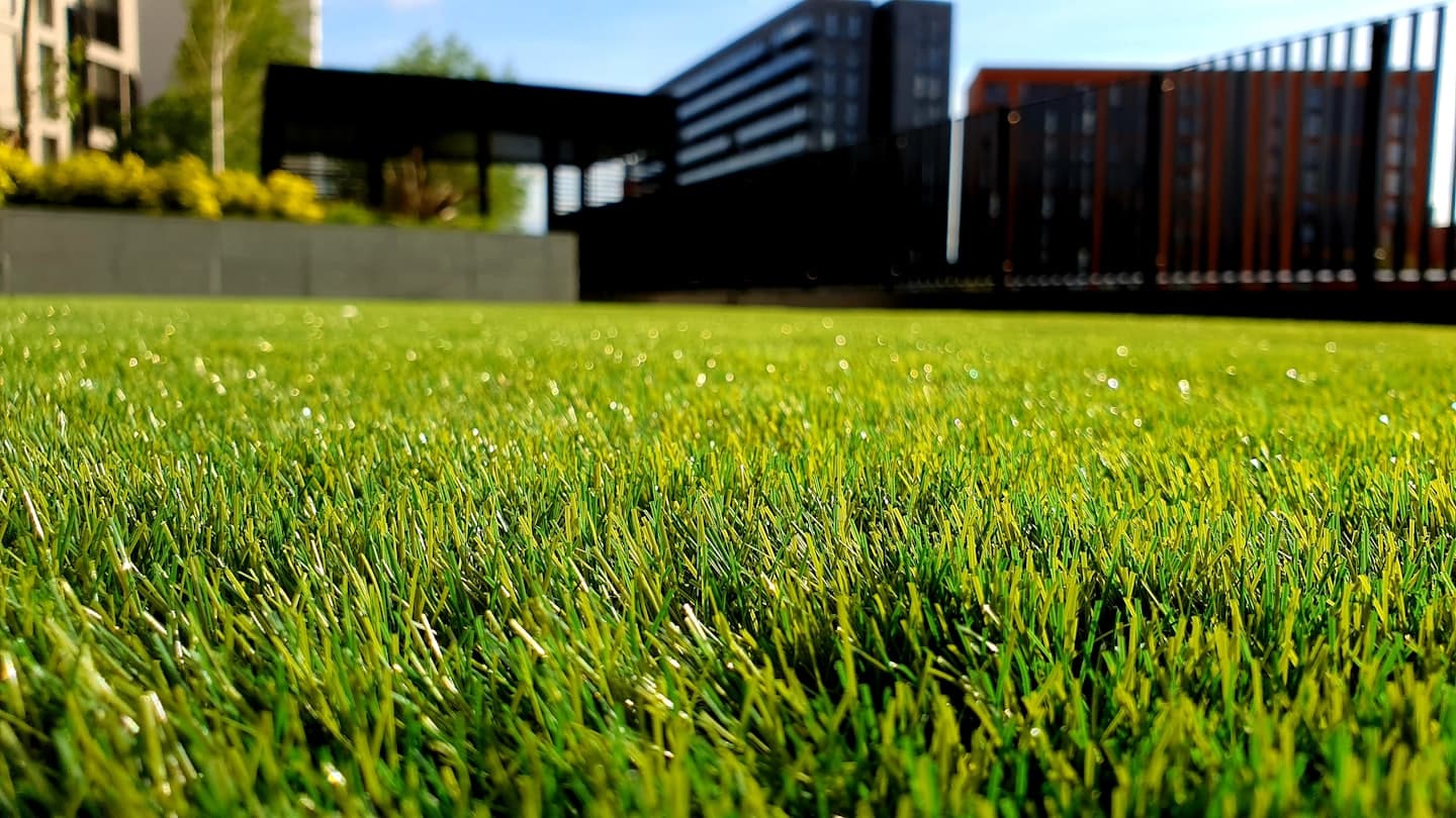 Well-maintained lawn in front of a house with white siding in Broussard